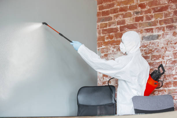 Best Mold Remediation for Vacation Homes  in Appleton, MN