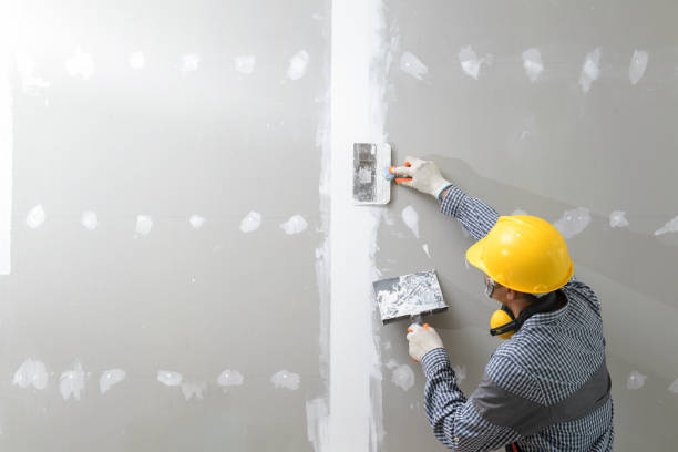 Best Water Damage & Mold Remediation  in Appleton, MN