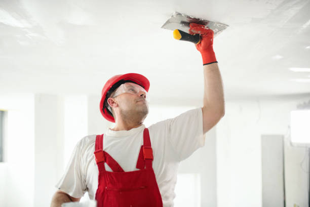 Best Dehumidification Services  in Appleton, MN