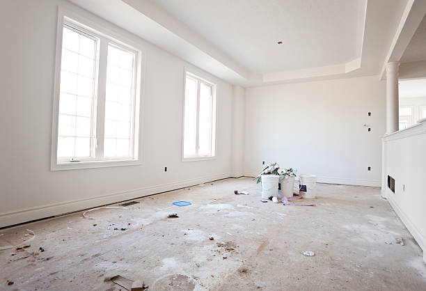 Best Mold Odor Removal Services  in Appleton, MN