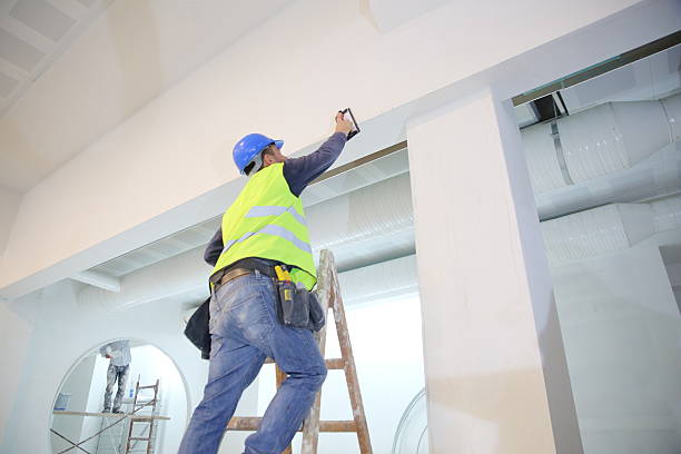 Best Real Estate Mold Inspection  in Appleton, MN