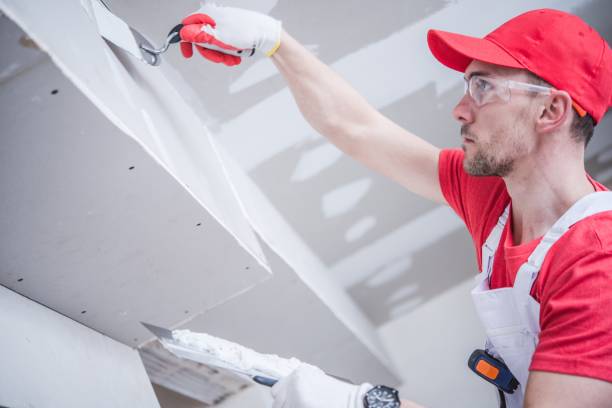 Best Biohazard Mold Removal  in Appleton, MN