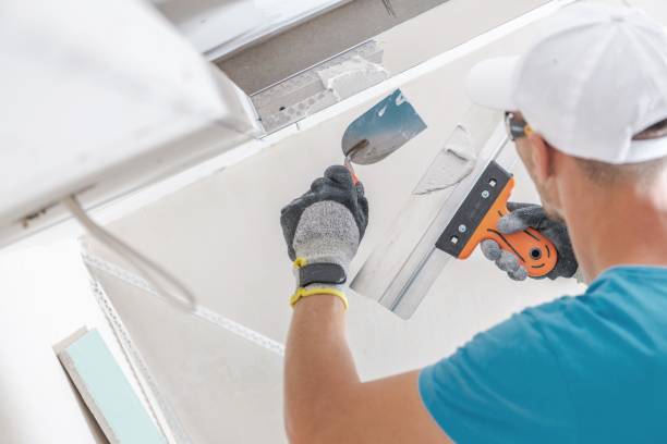 Best Real Estate Mold Inspection  in Appleton, MN